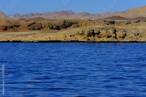 Elevated Above Sea Level Beautiful Coral Reefs The Form