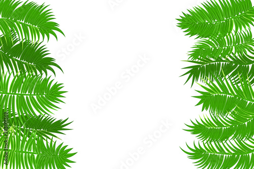 Web Summer Jungle Frame Banner Green Palm Leaves Template Isolated Web Summer Jungle Frame Banner Green Palm Leaves Template Isolated White Background Vector Abstract Ilration Realistic Picture Tropical