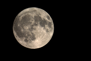 Wall Mural - moon texture / the moon is an astronomical body that orbits planet earth, and is earth's only perman