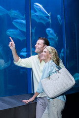 Poster - Happy couple pointing a fish tank