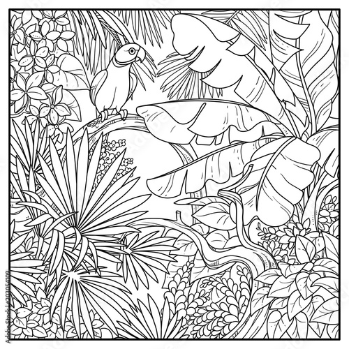 Wild Jungle With Indian Ringed Parrot Perched On Branch Black