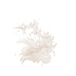 Giclée du lait-splash-crémeux-liquide ivoire-peinture blanche
