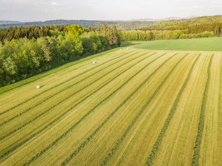 Sticker - Aerial view of hay field in evening sunlight in Switzerland with regular line patterns