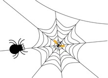 Mosquito Caught In Spider Web Illustration Vector