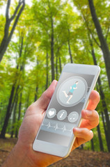 Poster - hand holding smartphone against lush trees in the forest