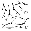 Black ink hand painted stylized branches
