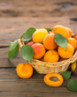 Fresh apricots in the basket
