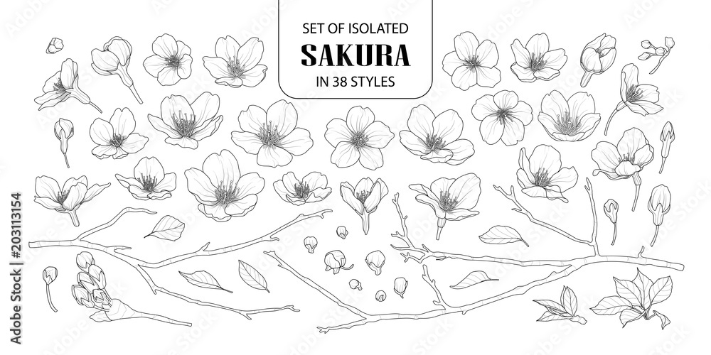 Set of isolated sakura in 38 styles. - obrazy, fototapety, plakaty 