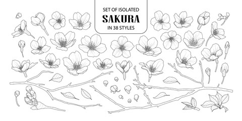 Set of isolated sakura in 38 styles.