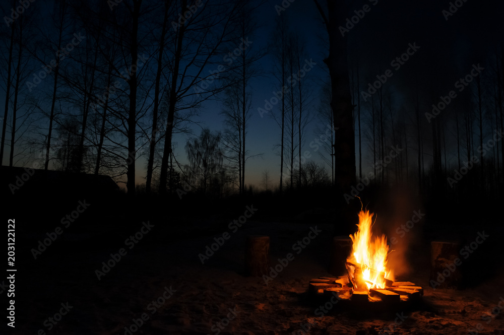 Burning campfire in chilly autumn evening. - obrazy, fototapety, plakaty 