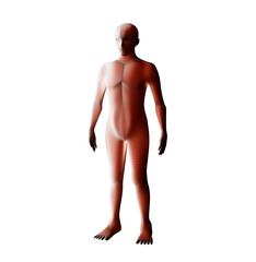 Poster - Anatomy of male muscular system. Red human wireframe hologram. 3d illustration