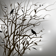 Background With Silhouette Of Bush Branches And Birds. Vector Illustration.
