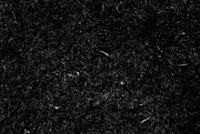 Texture Of Black Burned Grass. Black Grass After Fire On A Field.