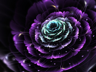 Wall Mural - Dark fractal flower, digital artwork for creative graphic design