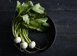 © Ed Rudolph - Overhead view of white radishes in pan on table