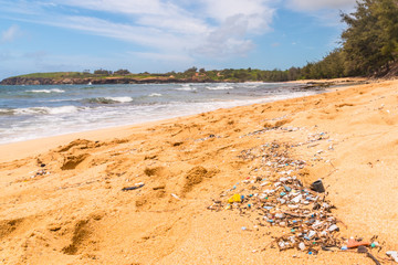 Wall Mural - Plastic Trash on the Beach