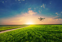 Drone Quad Copter On Green Corn Field