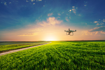 drone quad copter on green corn field