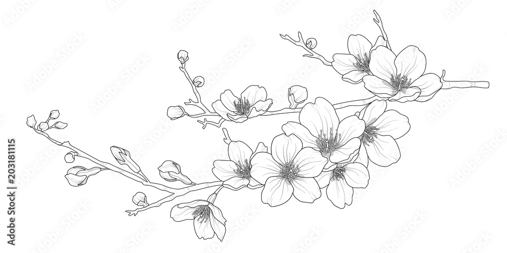 Cute hand drawn isolated sakura branch set 1. - obrazy, fototapety, plakaty 