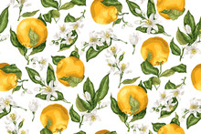 Seamless Pattern With Orange Fruit Tree Branches, Fruits And Flowers, Buds And Leaves, Vector Illustration Made On The White Background In A Festive Elegant Style