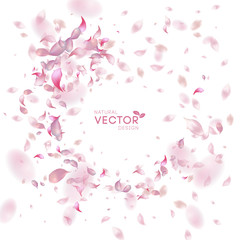 Sticker - Petals Flying Background