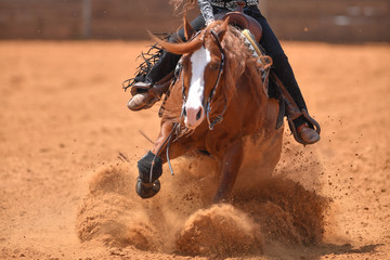 Wall Mural - The front view of a rider in jeans, cowboy chaps and checkered shirt on a reining horse slides to a stop in the red clay an arena.