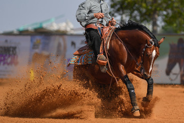 Wall Mural - The side view of a rider in cowboy chaps and boots on a horseback stopping the horse in the dust.