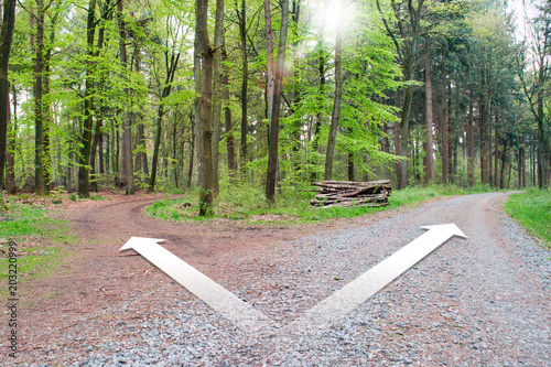 Fotografie, Obraz Weggabelung im Wald für eine Richtung entscheiden.