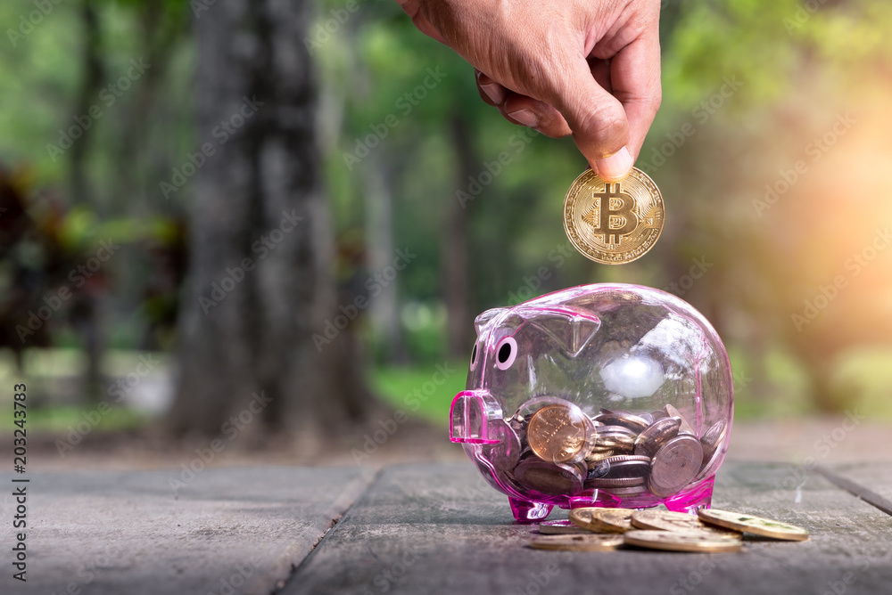 the abstract image of the hand dropping a bitcoin on a piggy bank in the park. the concept of cryptocurrency, blockchain, Bitcoin, digital, financial, investment, and internet of things