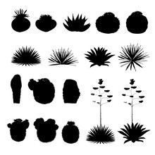 Black Silhouettes Of Round Cacti And Blue Agave. Vector Collection