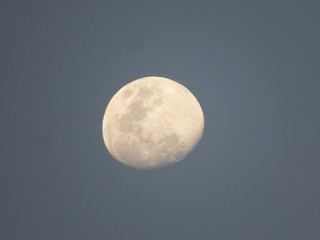 quarter moon
