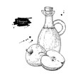 Apple vinegar vector drawing.  Hand drawn illustration. Glass bo