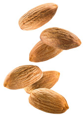 Wall Mural - almonds isolated on a white background