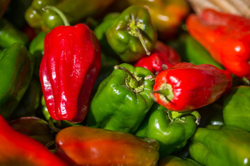 Wall Mural - chiles farmers market santa fe nm