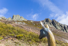 Statue Of A Deer In Picos De Europa, Spain
