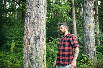 Wall Mural - Side view brutal guy standing next to tree. Bearded hipster wandering in forest. Camping, nature concept