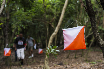 Poster - Outdoor orienteering check point activity