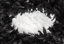 Black Feather Frame On Marble Background