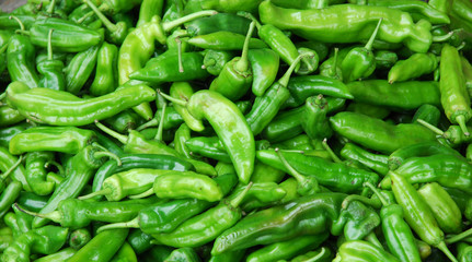 Wall Mural - Fresh green pepper pile in harvest season