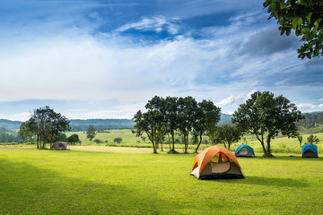 camp site in the forest, campground at tung saleang luang national park, thailand