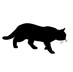 Wall Mural - icon, silhouette cat, on white background