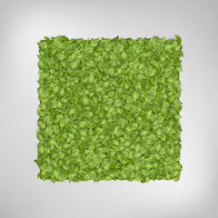 Poster - Green leaf background