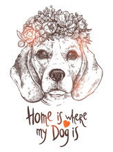 Portrait Of Beagle Dog With Flower Floral Wreath And Quote About Dog And Home. Sketch Hand Drawn Monochrome Style