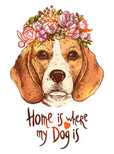 Portrait Of Beagle Dog With Flower Floral Wreath And Quote About Dog And Home. Sketch Hand Drawn Color Style