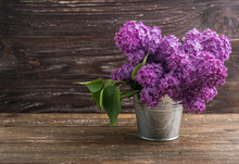 Lilac Flowers In Tin Bucket