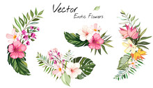 Set Tropical Vector Flowers. Card With Floral Illustration. Bouquet Of Flowers With Exotic Leaf Isolated On White Background. Composition For Invitation To Party Or Holiday