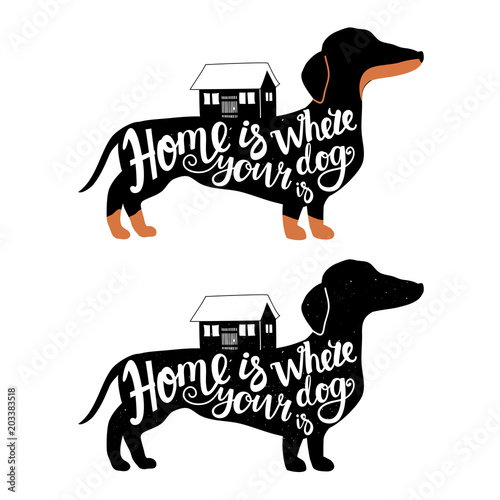 Fotografía Vector set with dachshunds and houses
