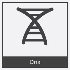 Wall Mural - Dna icon isolated on white background