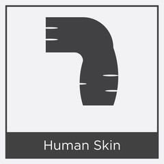 Wall Mural - Human Skin icon isolated on white background