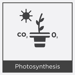 Wall Mural - Photosynthesis icon isolated on white background